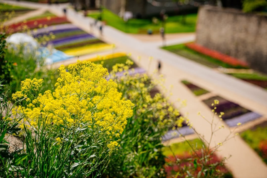 Foto:  BUGA Erfurt 2021