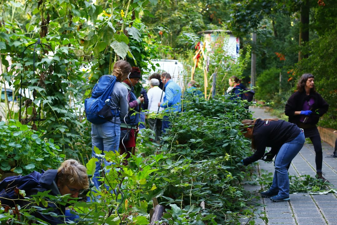 Foto: Netzwerk Nachbarschaft / Essbare Stadt Nürnberg - Bluepingu e. V. - Charlotte Haas + OrgaTeam