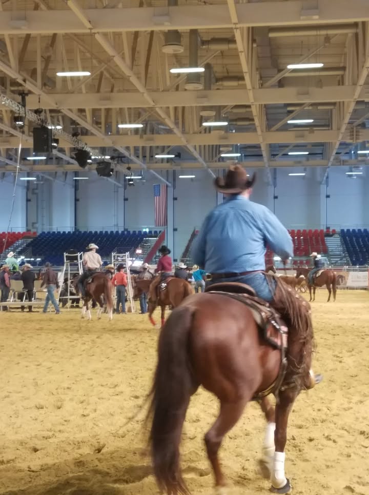 Blick in die Arena. Foto: Brigitte Karch