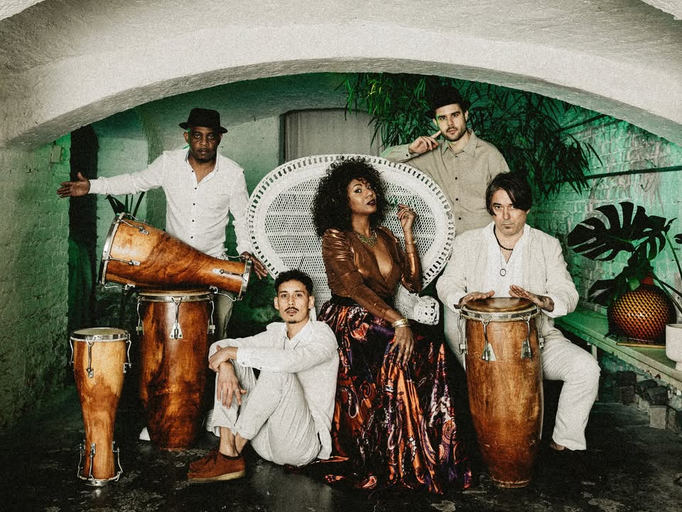 LNM24 Alte Rotation Afroson