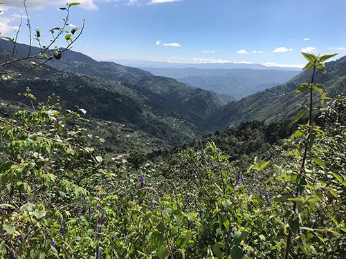 Kaffee aus Guatemala zählt zu den besten und hochwertigsten der Welt. Bild: Tchibo