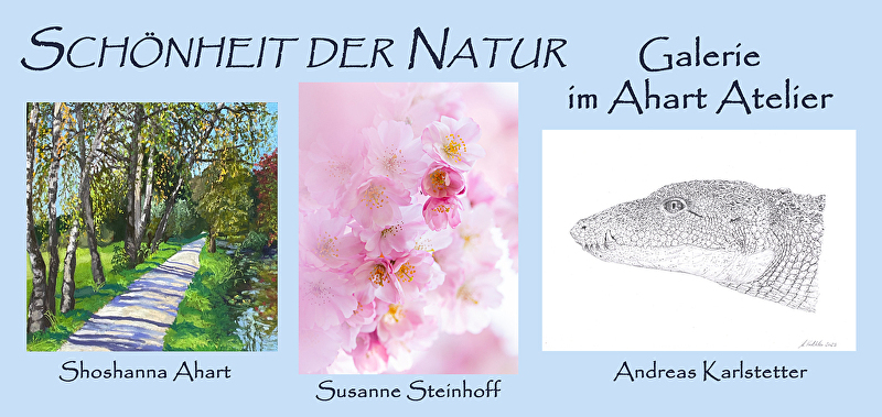 Werke der drei Künstlerinnen und Künstler: (v.l.): Shoshanna Ahart, Pastellmalerei | Susanne Steinhoff, Fotografie | Andreas Karlstetter, Zeichnung