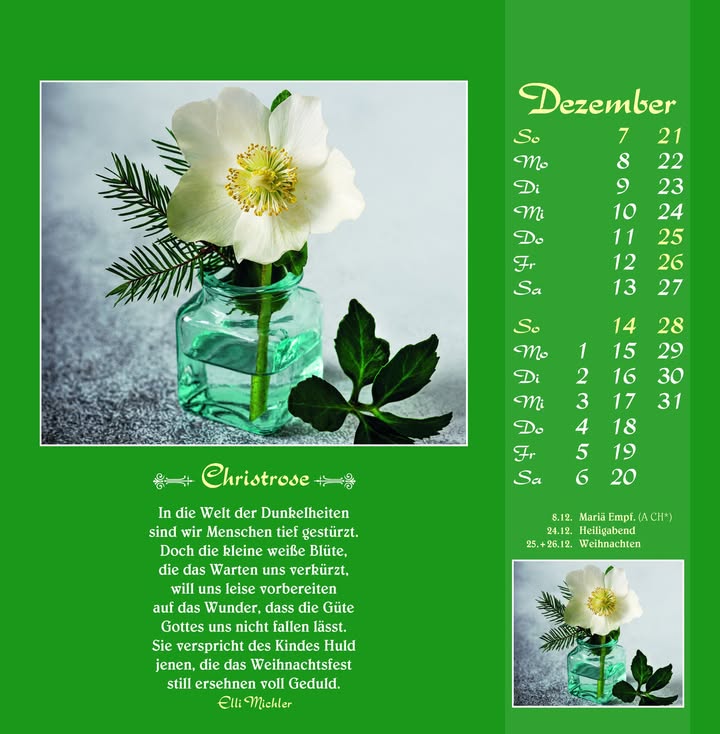 Postkartenkalender 2025 Gute Wünsche sollen dich begleiten