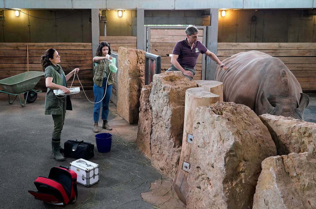 Trotz heftiger Regengüsse erfolgreiche Dreharbeiten von „Tierärztin Dr. Mertens“ im Thüringer Zoopark Erfurt. Im Foto (v.l.): Dr. Susanne Mertens (Elisabeth Lanz), Karoline Schneider (Maxine Kazis), Tierpfleger Conny (Thorsten Wolf). Foto: © MDR/Steffen Junghans