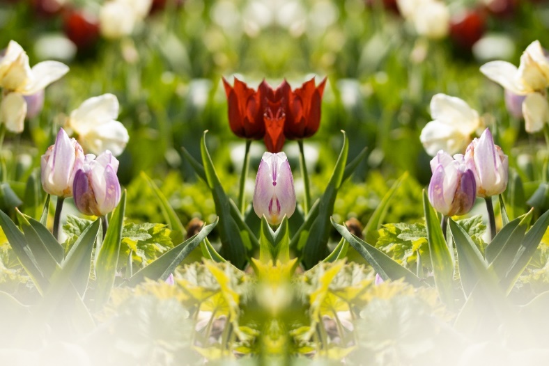 Foto: © egapark
