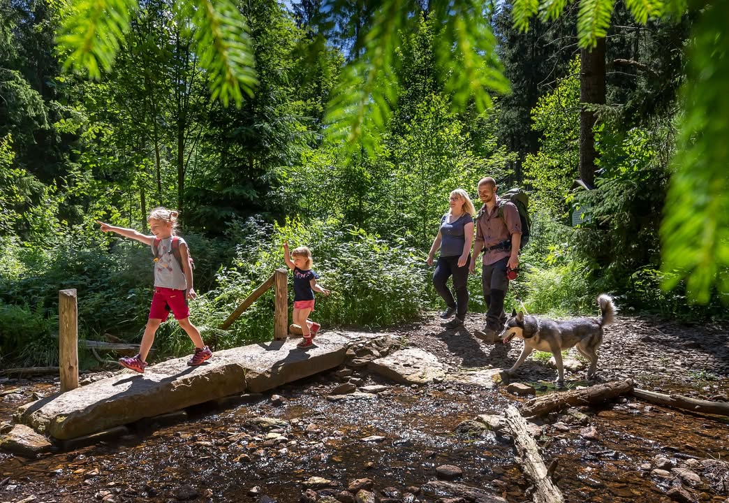 Wandern, Wald, Familie Geyer. Foto: TVE/Uwe Meinhold