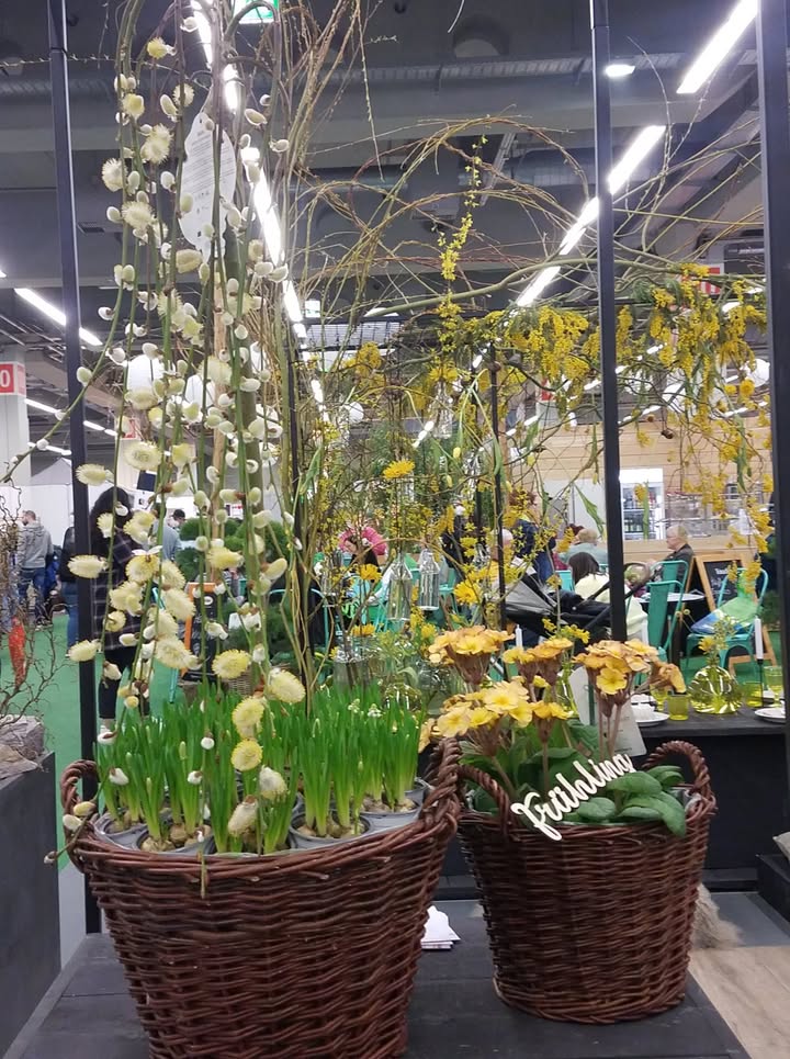 Frühling zeigt sich mit ersten Boten am Stand von Floristmeisterin Beatrix Schaffranka, www.decolifestyle.de. Foto: Brigitte Karch