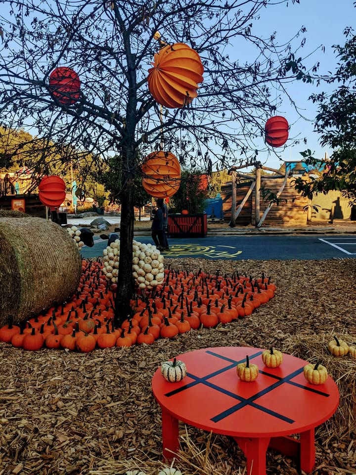 Schlosspark Lichtenwalde: „Kürbisfestival Royal“. Foto: Oskarshausen