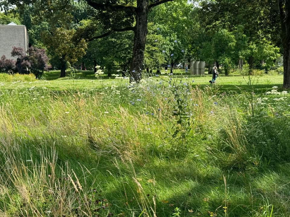 Foto: Netzwerk Nachbarschaft / Kants Garten - Susanne Breidenbach
