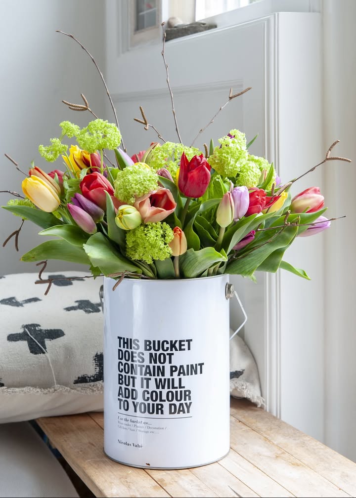 Frühlingsblumen bringen Farbe in unser Leben. Foto: TulpenZeit/ibulb
